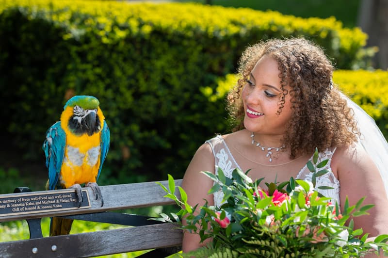 Bride with Macaw at Delaware Park in Buffalo, NY | Buffalo Wedding Photography