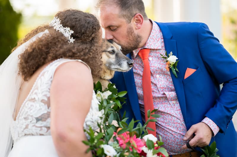 Couple with Dog at Delaware Park in Buffalo, NY | Buffalo Wedding Photography