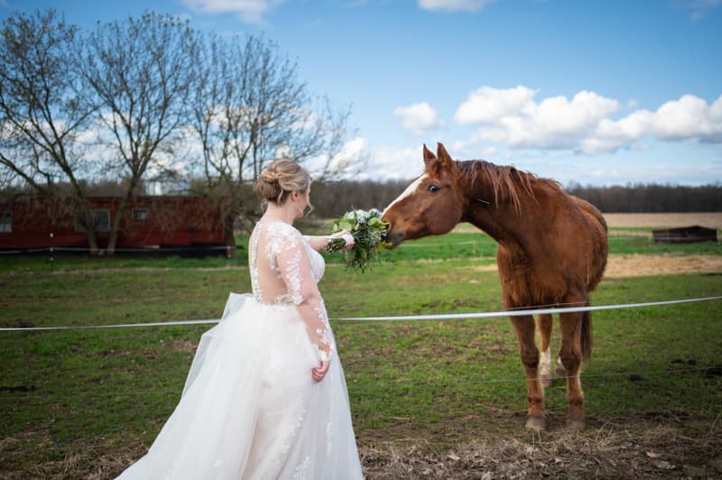 Bride on Farm in Medina, NY | Western New York Wedding Photography